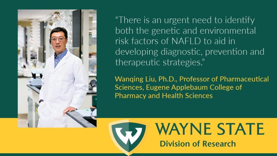 NIH awards $3M to Wayne State and Henry Ford Health to impact research on liver disease