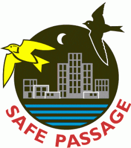 Safe Passage logo
