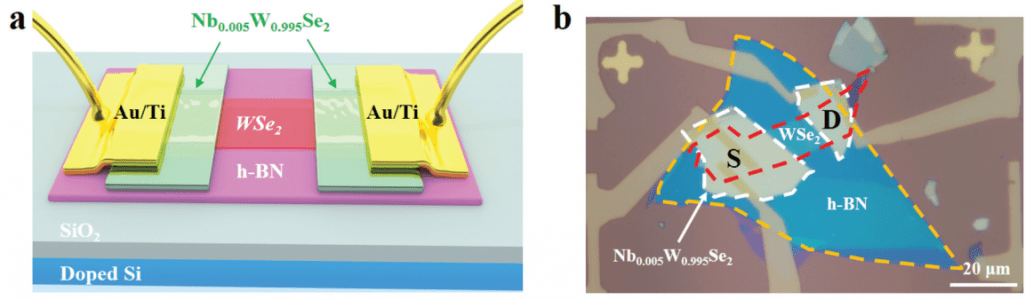 Publication: "Reversible photo-induced doping in WSe2 field effect transistors"